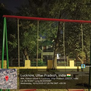 Outdoor Swing